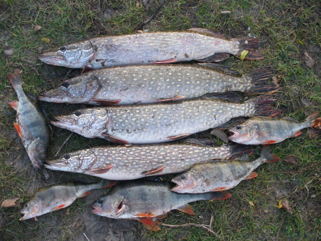 PA271089.JPG