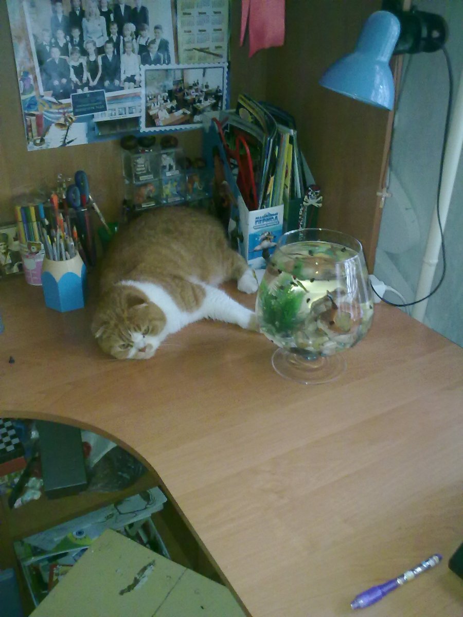 03092012254.jpg