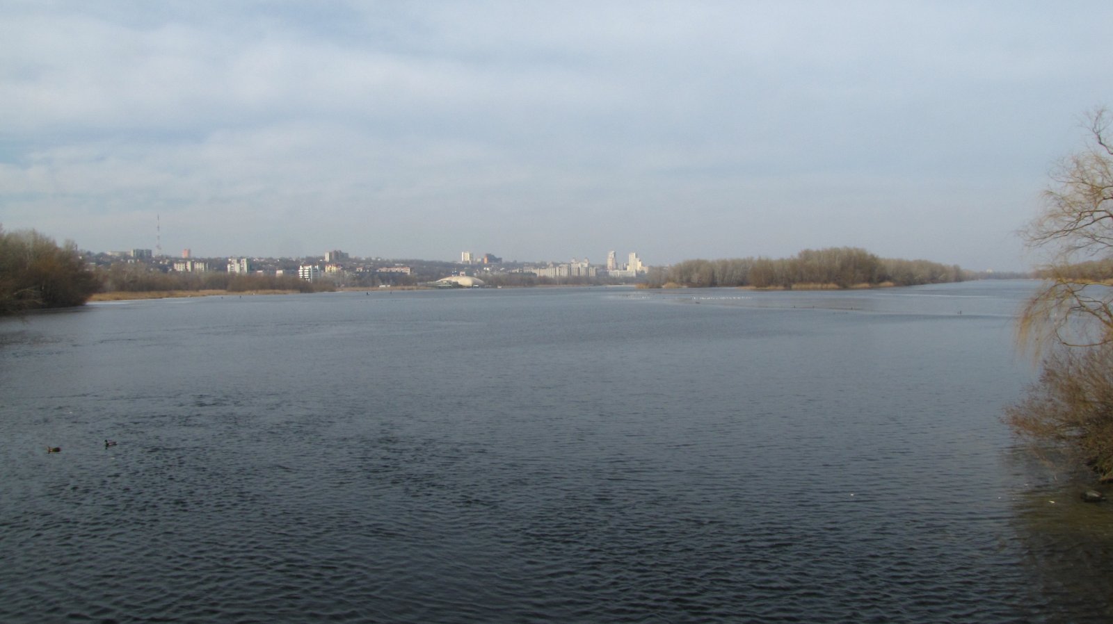 IMG_2566.JPG