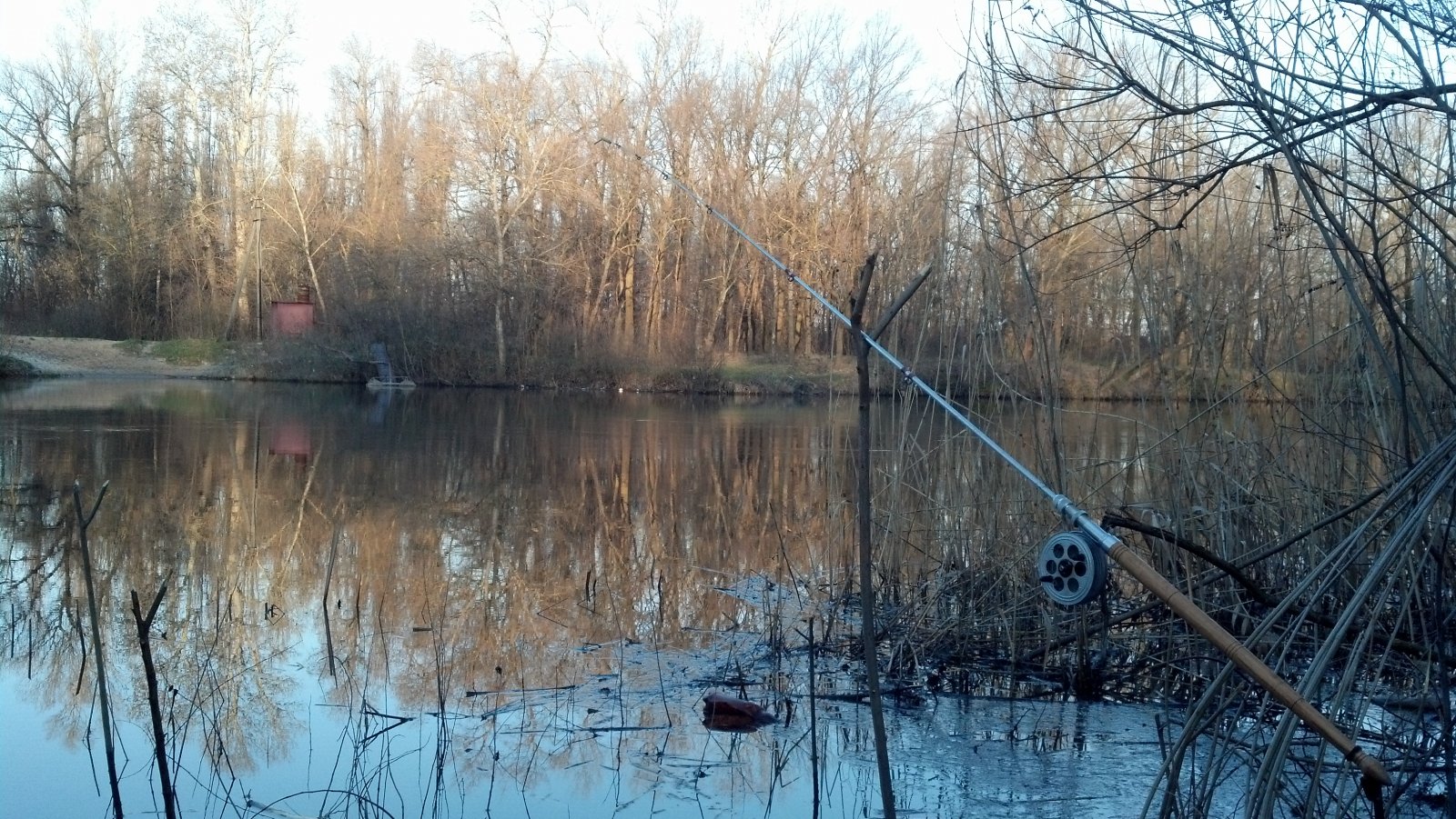 2013-04-16_06-32-29_340.jpg