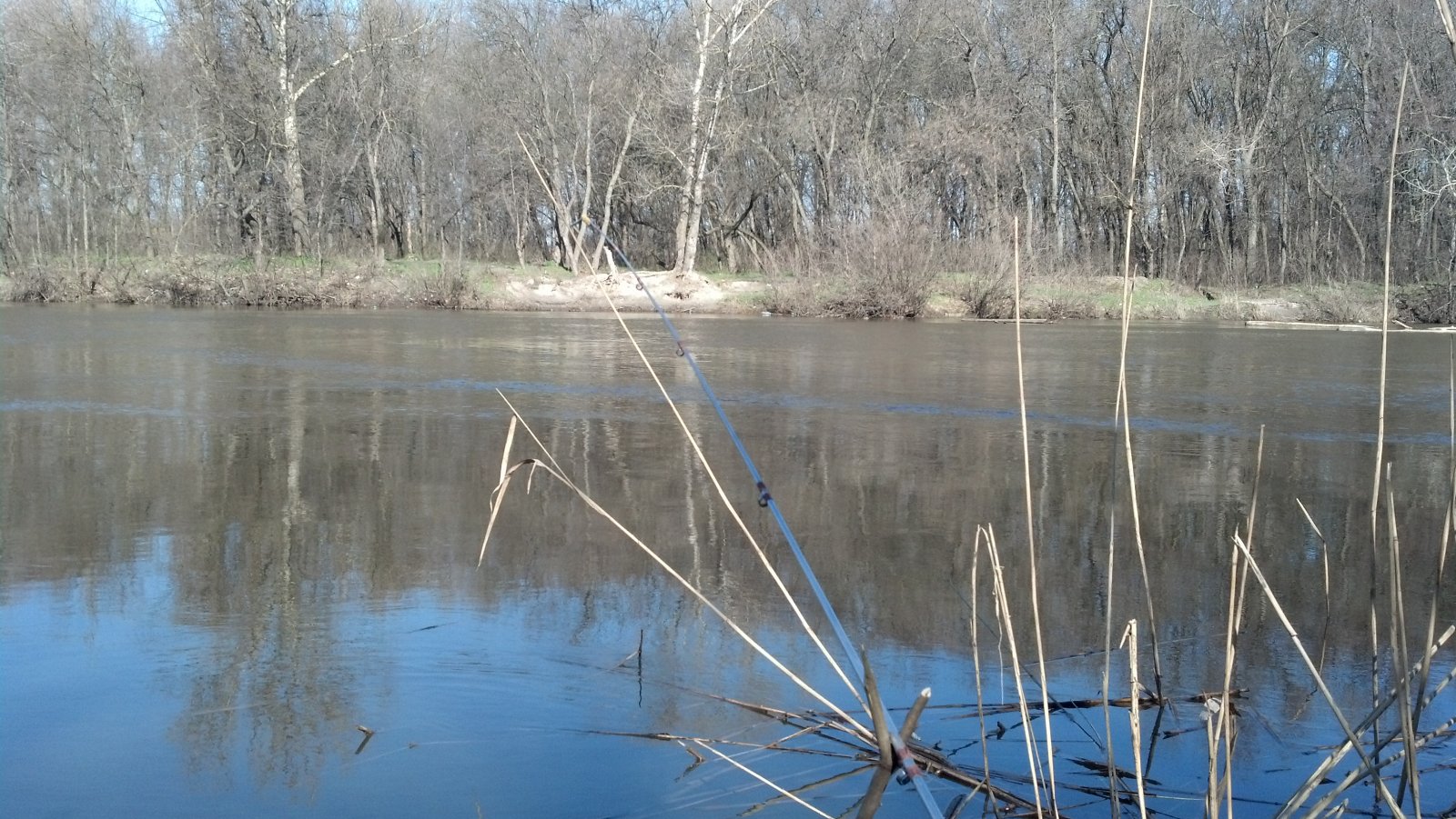 2013-04-16_09-08-32_366.jpg