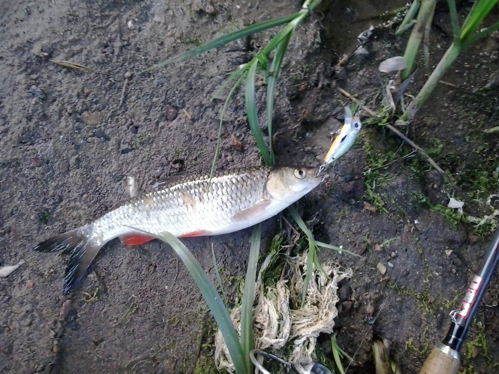 2013-05-18 19.31.16.jpg