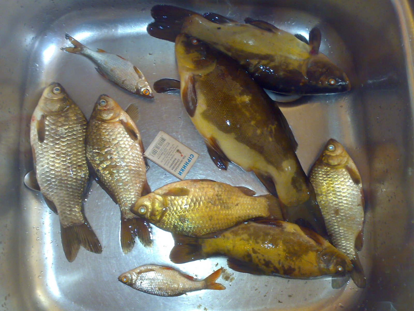 260520131414.jpg