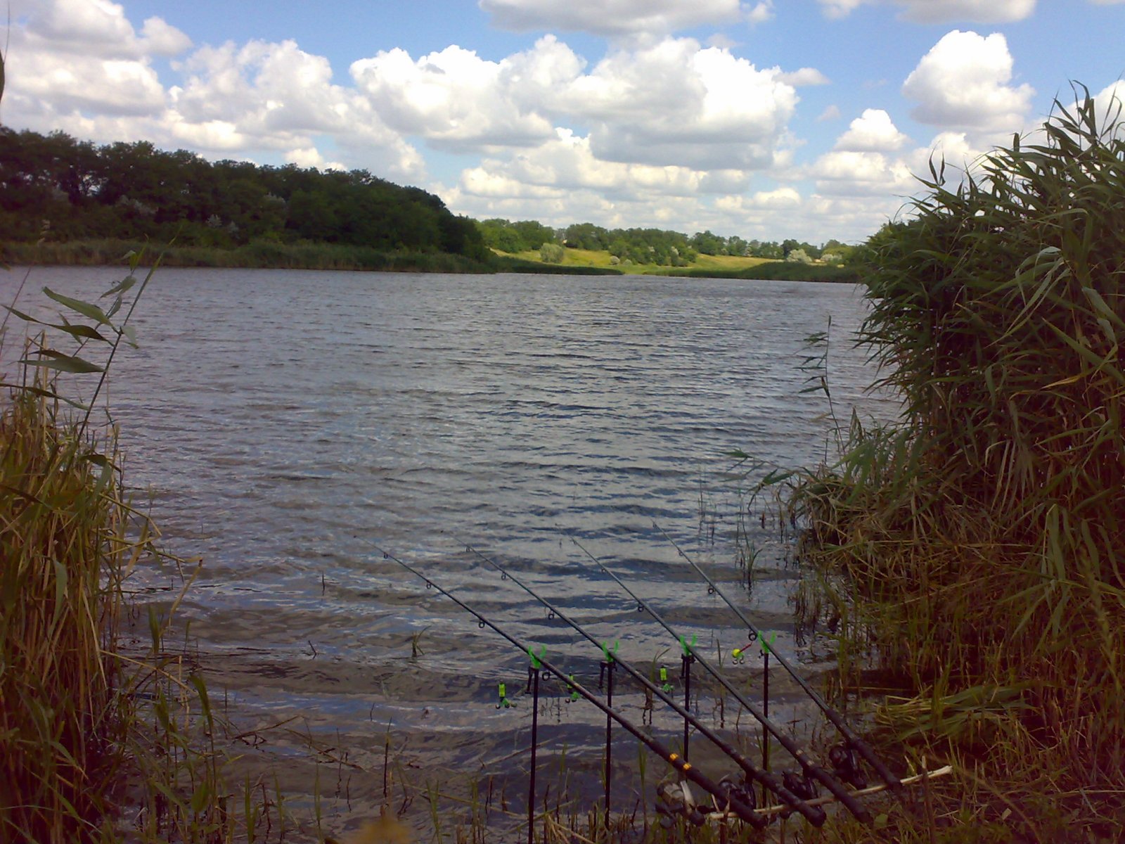 19062013913.jpg