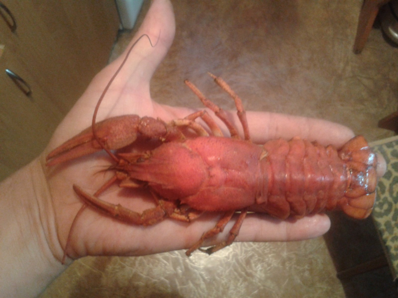 2013-07-01 20.20.13.jpg