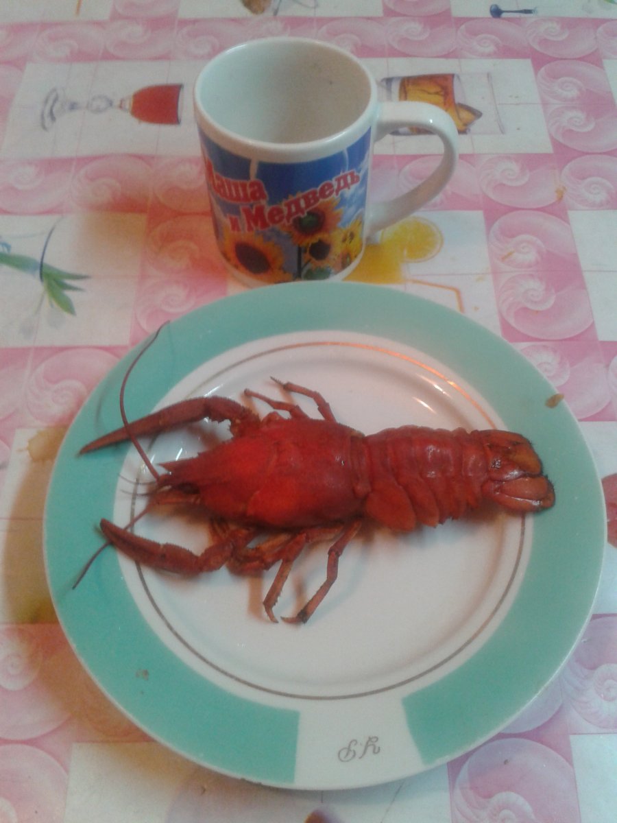 2013-07-01 20.19.35.jpg