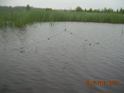 DSCN5972.JPG