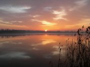DSCN1285.jpg