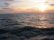DSCN1217.jpg