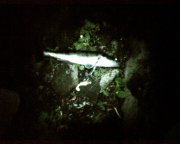 070802_045355.jpg