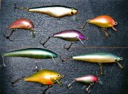 IMG_1154.JPG