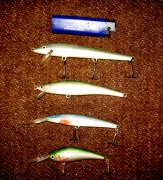 IMG_1158.JPG