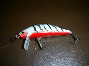 PIC_0009.JPG