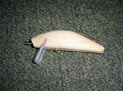 PIC_0005.JPG