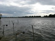 IMG_4804.jpg