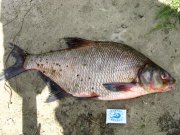 IMG_4830.jpg