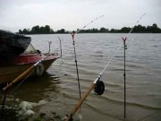 IMG_4979.jpg