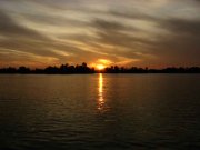 IMG_5110.jpg