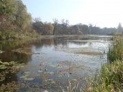 DSC00532.JPG