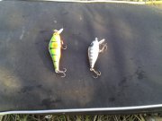 IMG_20131020_163315.jpg