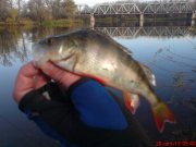DSC01209.JPG