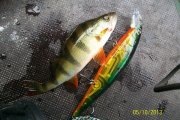 100_7279.jpg