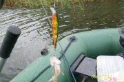 100_7278.jpg