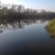 IMG_1334.JPG
