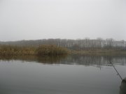 IMG_0440.JPG