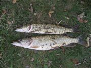 IMG_0464.JPG