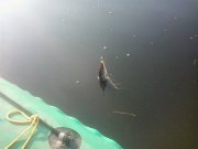 2013-10-13 15.21.48.jpg