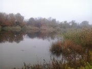 2013-10-26 17.12.39.jpg