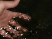 PA271167.JPG