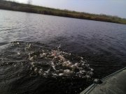 IMG_20131030_112510.jpg