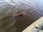 IMG_20131030_112522.jpg