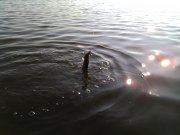 IMG_20131030_123901.jpg