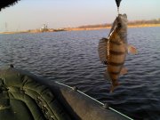 IMG_20131030_140459.jpg