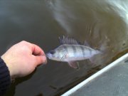IMG_20131030_140518.jpg