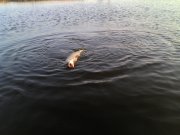 IMG_20131030_152255.jpg