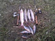 IMG_20131030_162009.jpg