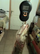 IMG_20131030_172609.jpg