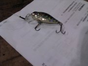 IMG_20131030_173834.jpg