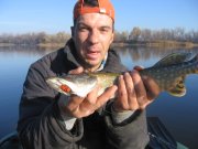 IMG_4459.JPG