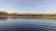 IMAG0358.jpg