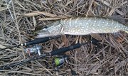 IMG_20131103_065721.jpg