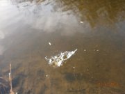 PB020093.JPG