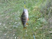 DSC09015.JPG