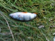 DSC09016.JPG