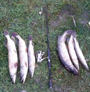 IMG_20131105_161312.jpg