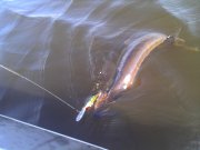 IMG_20131106_125359.jpg
